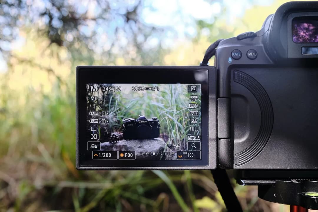 Jak ustawić ostrość w aparacie Canon - praktyczne wskazówki dla fotografów