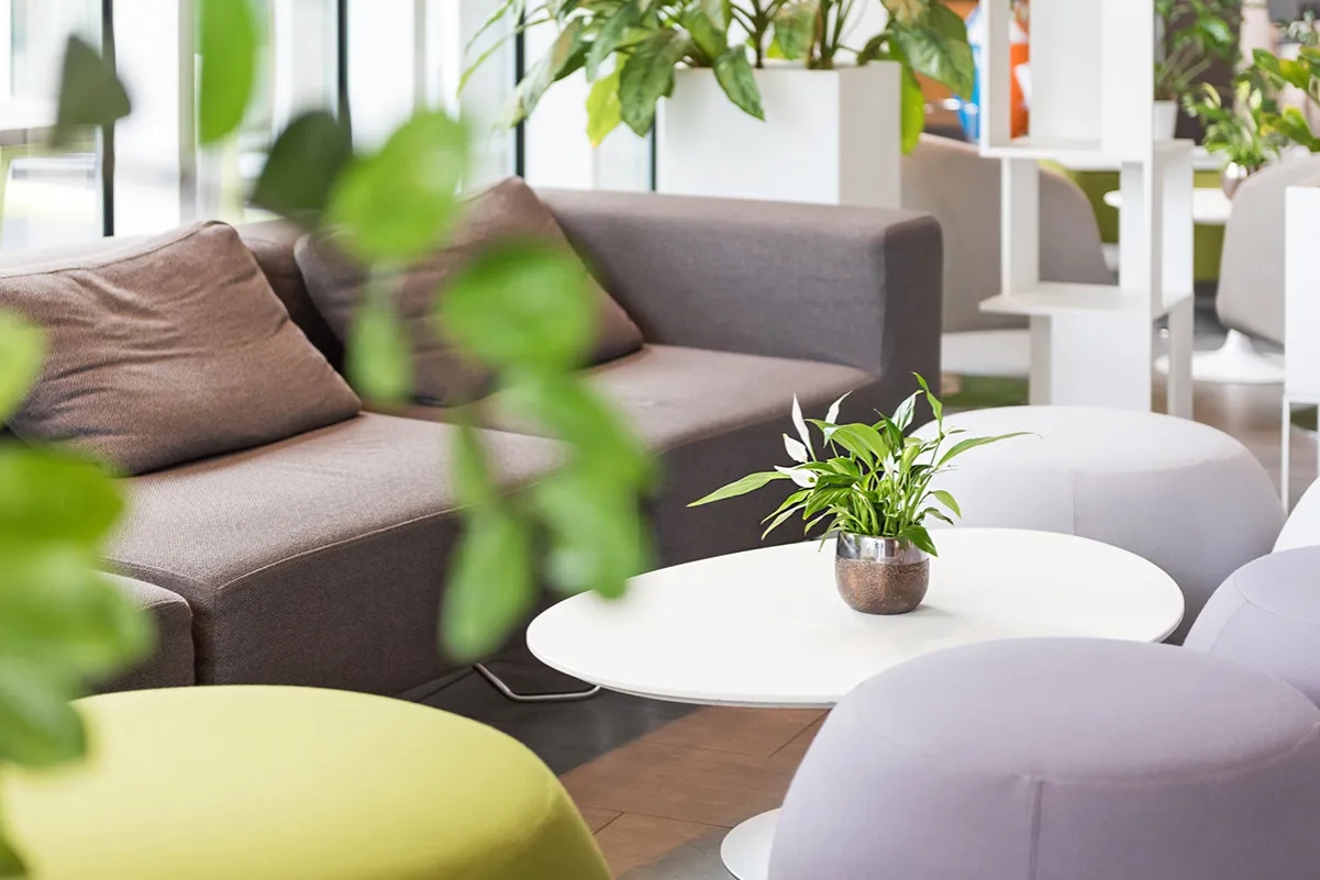 Jaki obiektyw do pomieszczeń? Wybierz idealny obiektyw do wnętrz