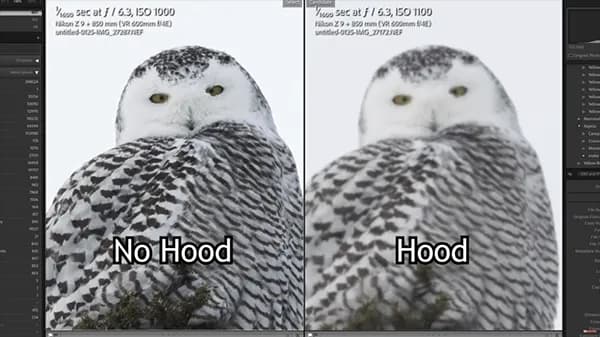 Co daje osłona przeciwsłoneczna na obiektyw? Ochrona i lepsze zdjęcia bez refleksów